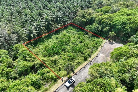 Terrain à Pa Klok, Thaïlande 1600 m2 № 163338 - photo 15