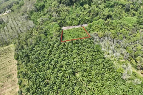 Terrain à Pa Klok, Thaïlande 1600 m2 № 163338 - photo 14