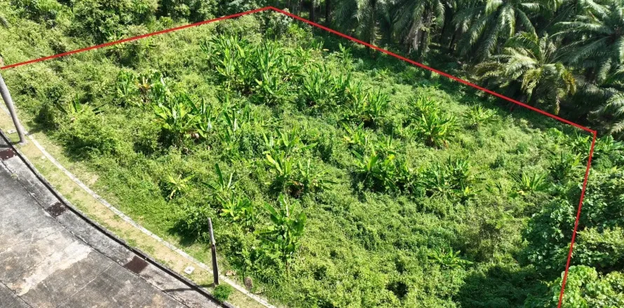 Terrain à Pa Klok, Thaïlande 1600 m2 № 163338