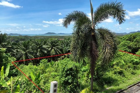 Terrain à Pa Klok, Thaïlande 1600 m2 № 163338 - photo 2