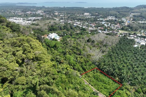 Terrain à Pa Klok, Thaïlande 1600 m2 № 163338 - photo 5