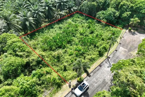 Terrain à Pa Klok, Thaïlande 1600 m2 № 163338 - photo 11