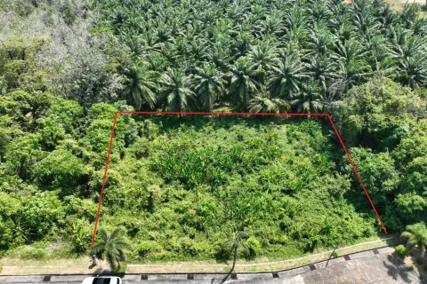 Terrain à Pa Klok, Thaïlande 1600 m2 № 163338 - photo 7