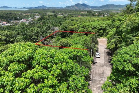 Terrain à Pa Klok, Thaïlande 1600 m2 № 163338 - photo 8