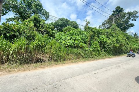 Land in Ko Samui, Thailand 853 sq.m. № 151840 - photo 5