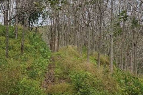 Земельный участок в Пхангнге, Таиланд 378748м2  № 151838 - фото 19