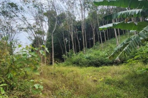 Земельный участок в Пхангнге, Таиланд 378748м2  № 151838 - фото 8