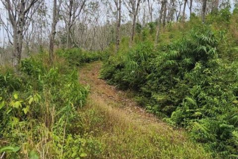 Земельный участок в Пхангнге, Таиланд 378748м2  № 151838 - фото 11