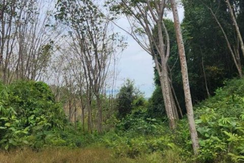 Земельный участок в Пхангнге, Таиланд 378748м2  № 151838 - фото 12
