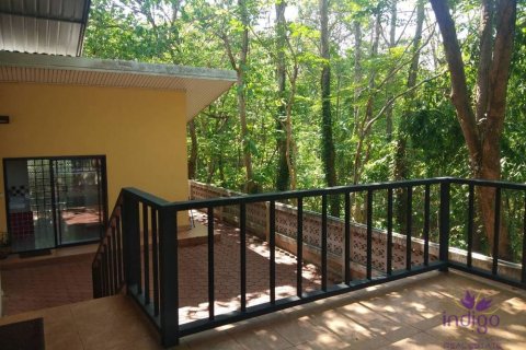 Коммерческая недвижимость в Чиангмае, Таиланд 3664м2 № 162543 - фото 4