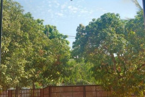 Коммерческая недвижимость в Чиангмае, Таиланд 3664м2 № 162543 - фото 8