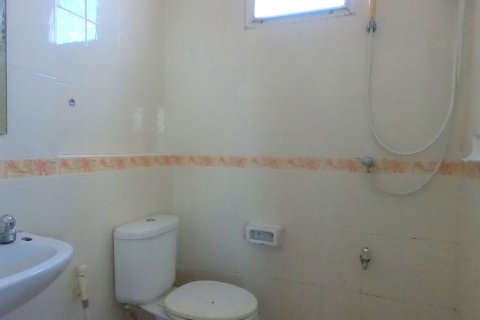 Коммерческая недвижимость в Чиангмае, Таиланд  № 162538 - фото 9