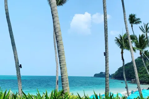 Вилла в Самуи, Таиланд с 3 спальнями  № 167525 - фото 24