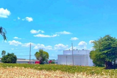 Land in Rayong, Thailand 35200 sq.m. № 154414 - photo 6