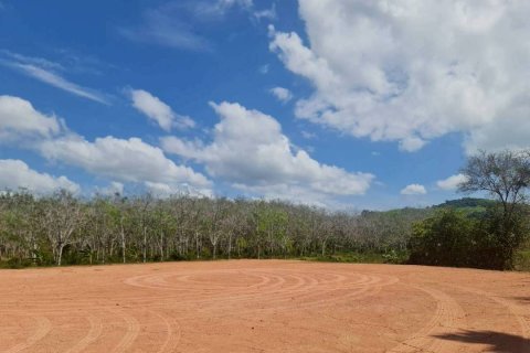 Land in Mai Khao, Thailand 11200 sq.m. № 164118