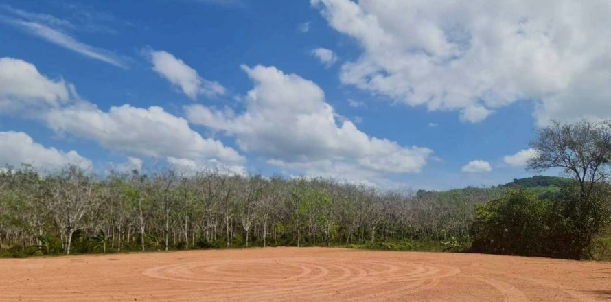 Land in Mai Khao, Thailand 11200 sq.m. № 164118