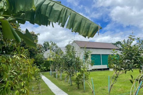 Terrain à Hua Hin, Thaïlande № 160982 - photo 9