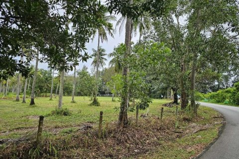 Земельный участок в Паклоке, Таиланд 8600м2  № 138634 - фото 7