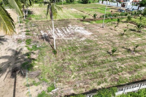 Land in Mai Khao, Thailand 9600 sq.m. № 169386 - photo 4