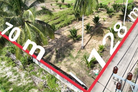 Land in Mai Khao, Thailand 9600 sq.m. № 169386 - photo 10