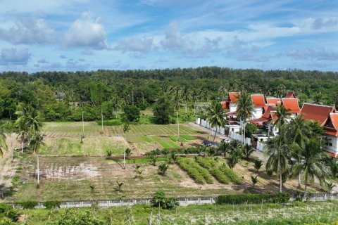 Land in Mai Khao, Thailand 9600 sq.m. № 169386 - photo 5