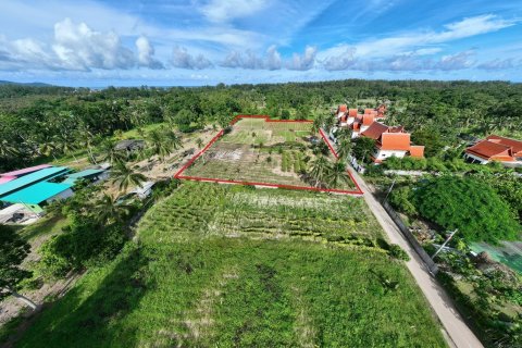 Land in Mai Khao, Thailand 9600 sq.m. № 169386 - photo 9