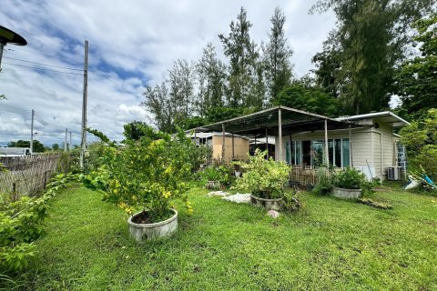 Terrain à San Kamphaeng, Thaïlande 1980 m2 № 163579 - photo 16