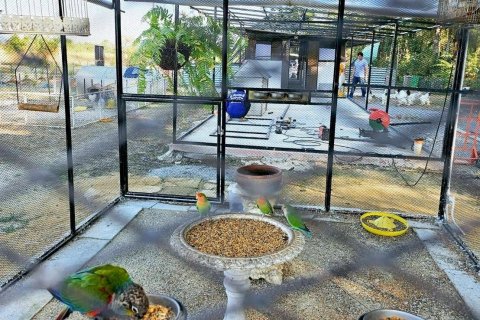 Terrain à San Kamphaeng, Thaïlande 1980 m2 № 163579 - photo 24