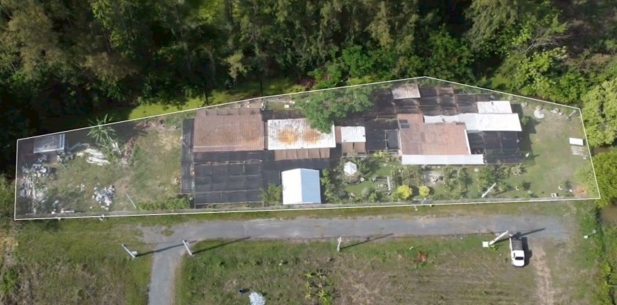 Terrain à San Kamphaeng, Thaïlande 1980 m2 № 163579