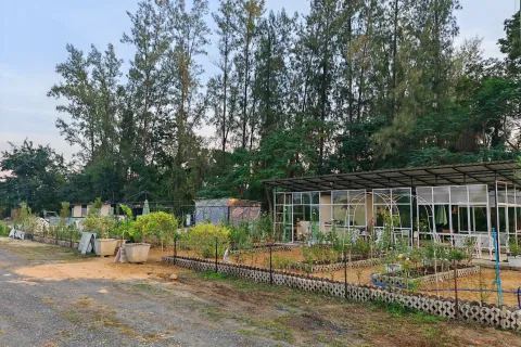 Terrain à San Kamphaeng, Thaïlande 1980 m2 № 163579 - photo 7