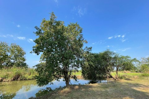 Terrain à San Kamphaeng, Thaïlande 1980 m2 № 163579 - photo 12