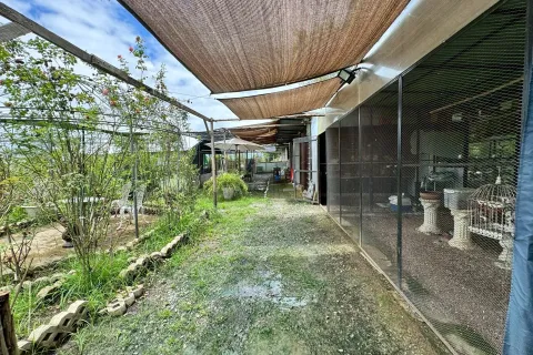 Terrain à San Kamphaeng, Thaïlande 1980 m2 № 163579 - photo 20