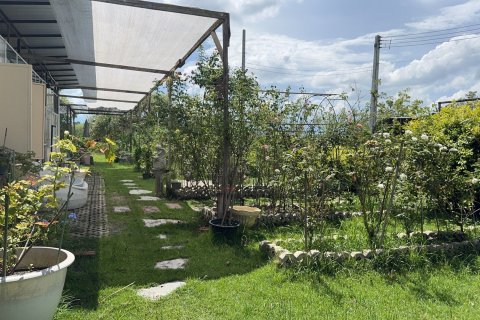 Terrain à San Kamphaeng, Thaïlande 1980 m2 № 163579 - photo 3