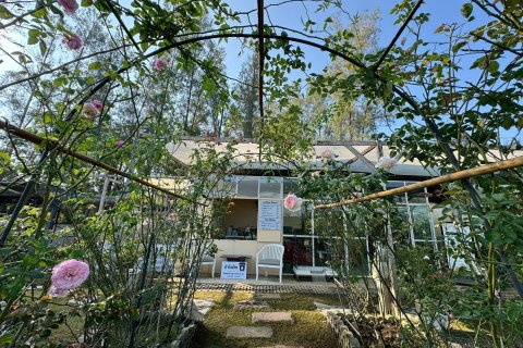 Terrain à San Kamphaeng, Thaïlande 1980 m2 № 163579 - photo 4