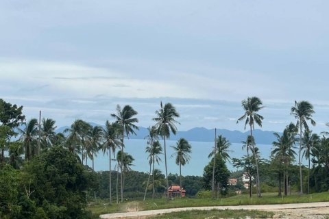 Земельный участок в Сураттхани, Таиланд № 146844 - фото 7