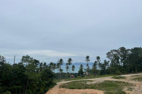 Земельный участок в Сураттхани, Таиланд № 146844 - фото 6