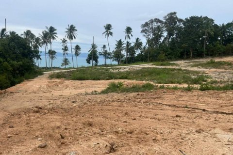 Земельный участок в Сураттхани, Таиланд № 146844 - фото 4