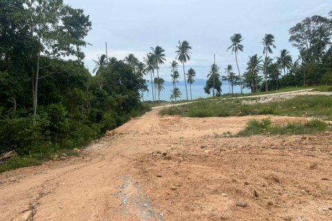 Земельный участок в Сураттхани, Таиланд № 146844 - фото 3