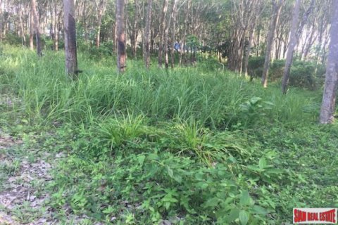 Land in Krabi, Thailand 1600 sq.m. № 204008 - photo 4