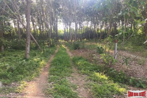 Land in Krabi, Thailand 1600 sq.m. № 204008