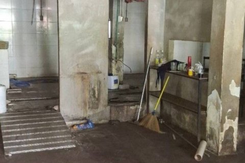 Shop in Bangkok, Thailand 330 sq.m. № 162897 - photo 5