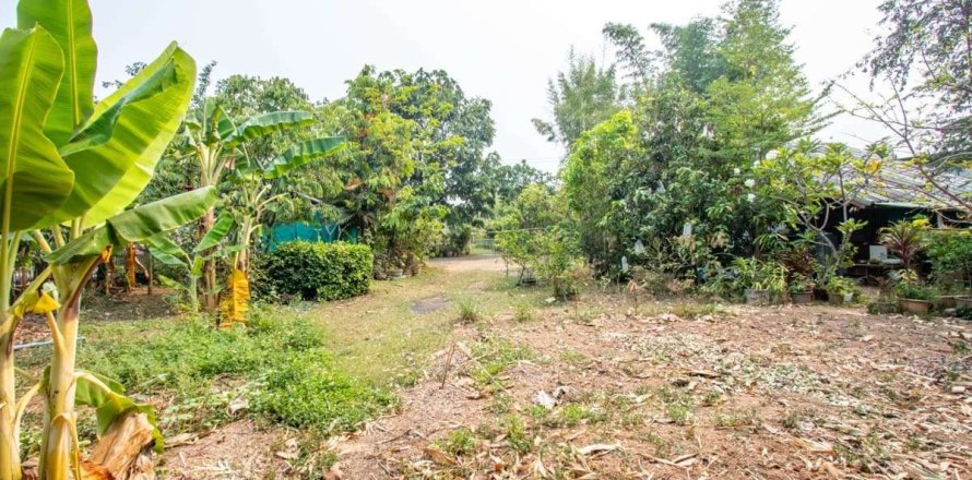 Terrain à Chiang Mai, Thaïlande 205 m2 № 205512