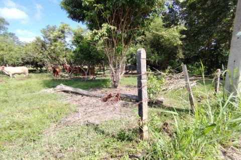 Земельный участок в Чианграе, Таиланд  № 150881 - фото 1