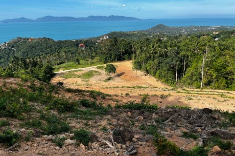 Земельный участок в Самуи, Таиланд 1600м2  № 135698 - фото 3