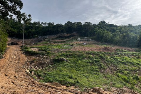 Земельный участок в Самуи, Таиланд 1600м2  № 135698 - фото 4