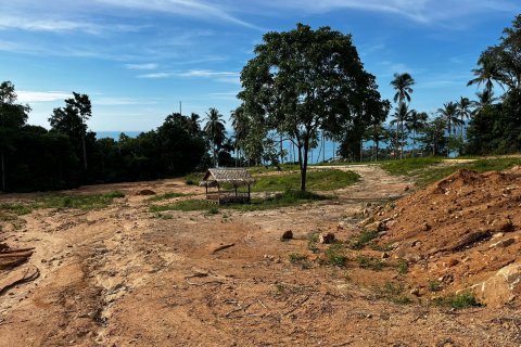 Земельный участок в Самуи, Таиланд 1600м2  № 135698 - фото 6