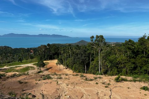 Земельный участок в Самуи, Таиланд 1600м2  № 135698 - фото 14
