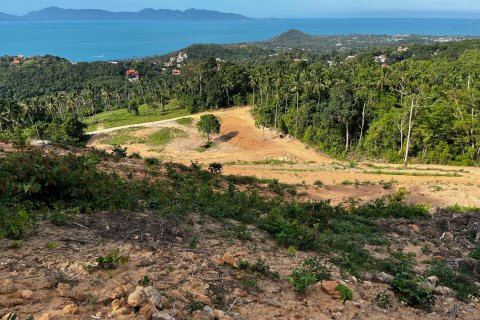 Земельный участок в Самуи, Таиланд 1600м2  № 135698 - фото 12