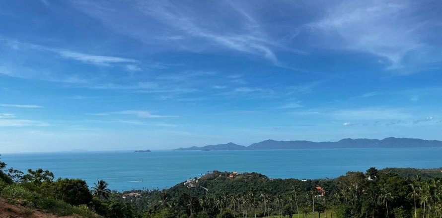 Земельный участок в Самуи, Таиланд 1600м2  № 135698