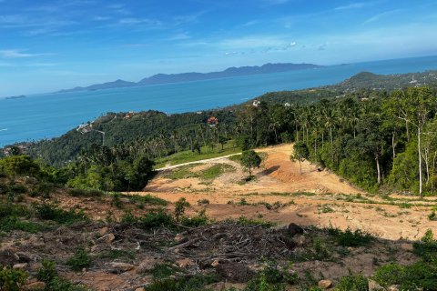 Земельный участок в Самуи, Таиланд 1600м2  № 135698 - фото 8